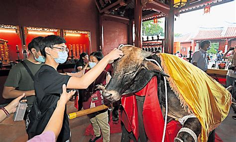 智慧毛是什麼|重現祭孔拔毛 送智慧毛筆啦